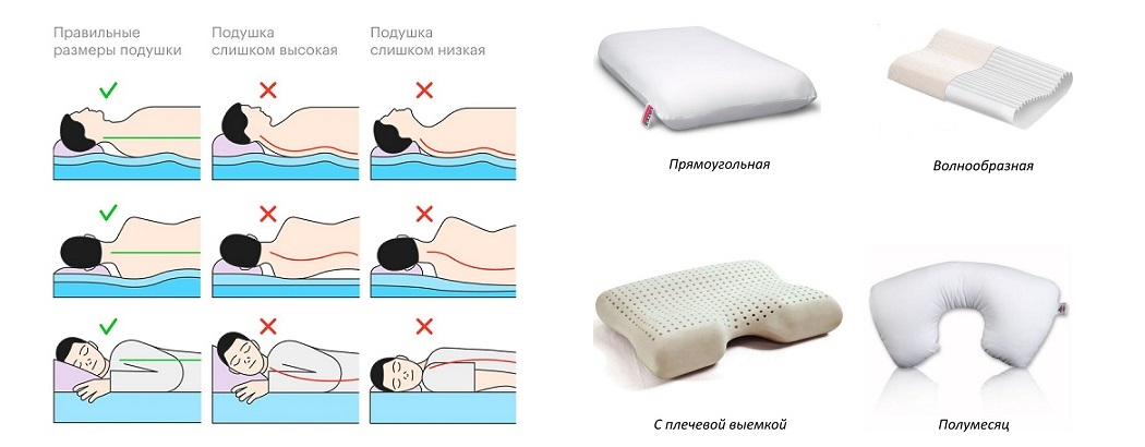высота орто подушки и формы.jpg