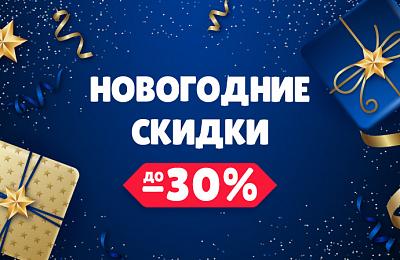 Новогодняя распродажа 2021/2022 - скидки до 30%!