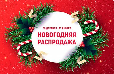 НОВОГОДНЯЯ РАСПРОДАЖА 2020/2021 - скидки до 50%!